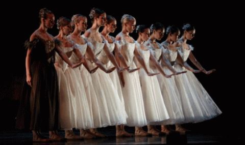 "Сocoondance company"
